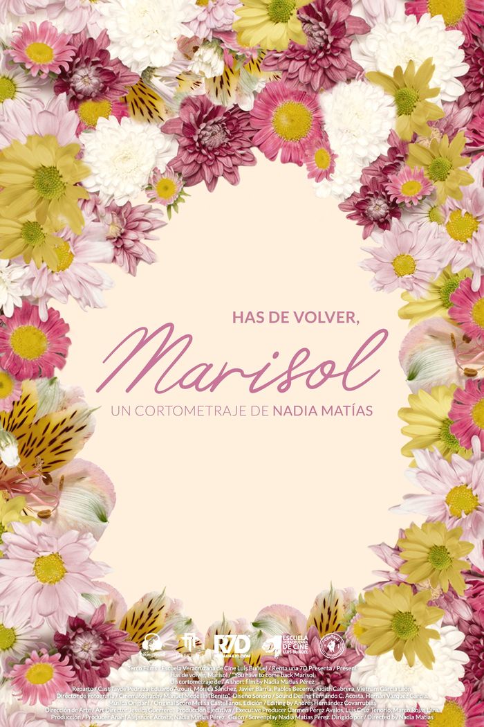 Cartel de Has de volver, Marisol